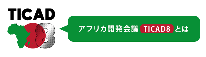 アフリカ開発会議（TICAD8）とは