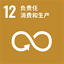 12.负责任消费和生产