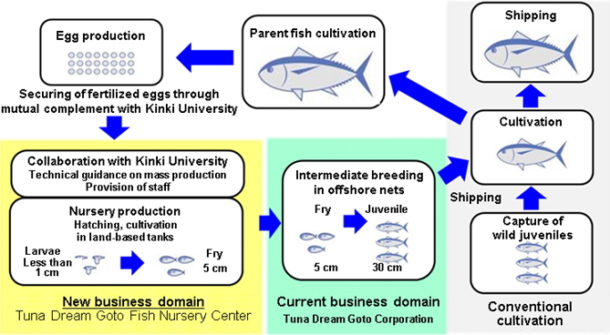 Toyota Tsusho And Kinki University Sign Memorandum On Promoting Marine Product Cultivation Business Agreement Outlines World S First Industry Academic Mass Production Of Bluefin Tuna Nursery Press Room Toyota Tsusho