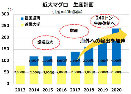 豊田通商が養成したクロマグロを 近大マグロ に認定 年には供給量 現在の3倍 240トン6000尾 へ プレスルーム 豊田通商株式会社