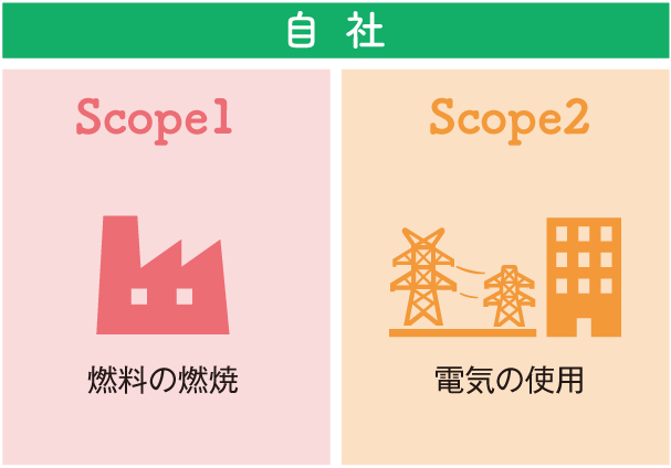 自社 Scope1 燃料の燃焼 Scope2 電気の使用